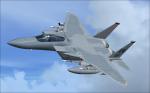 Fixes and modifications native FSX IRIS McDonnell F-15 C/D for FSX/P3D